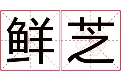 芝 名字